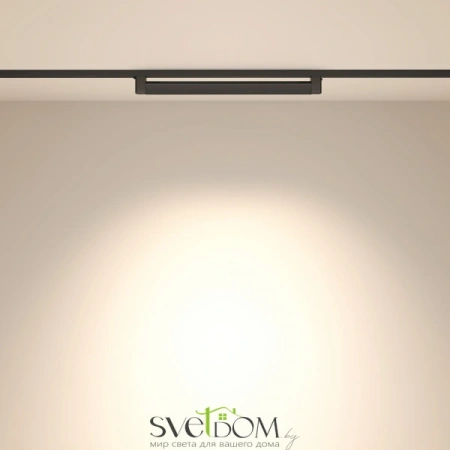 TR010-1-20W4K-M-B Maytoni