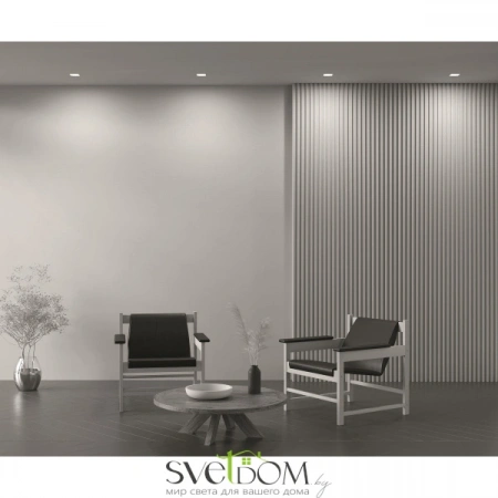 Встраиваемые светильники Maytoni DL029-2-01W от Магазина Svetdom.by