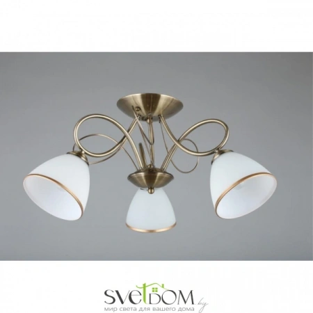 Люстры потолочныеOML-25307-03 Omnilux | Svetdom.by