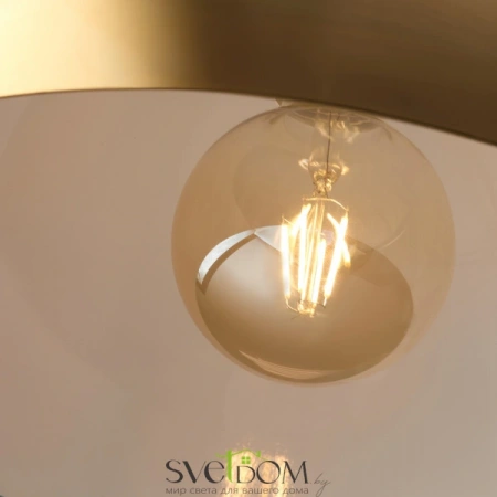 Подвесные светильники Freya FR5218PL-01BS от Магазина Svetdom.by