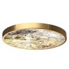 Настенно-потолочные светильники Odeon Light 5079/50L от Магазина Svetdom.by