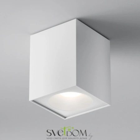 Потолочные светильники Maytoni C030CL-01W от Магазина Svetdom.by