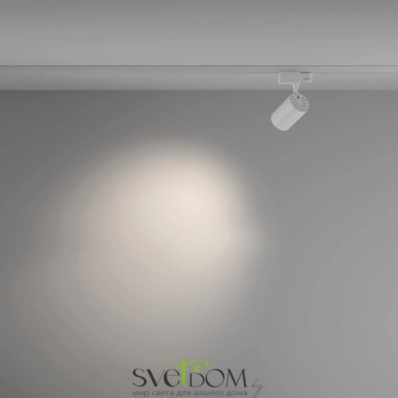 TR029-3-10W4K-M-W Maytoni