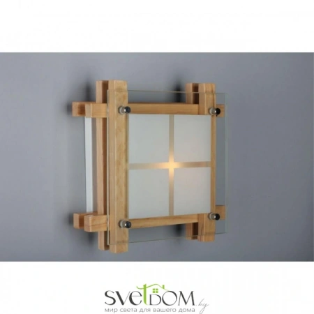 Настенно-потолочные светильники Omnilux OML-40517-01 от Магазина Svetdom.by