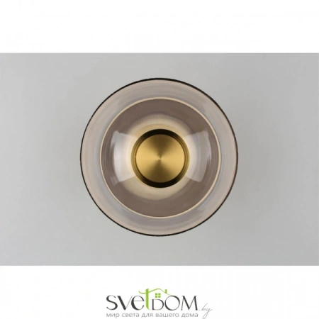 Настенные светильники APL.648.11.10 Aployt | Svetdom.by