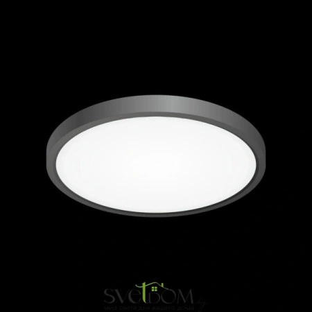 Citilux Бейсик CL738241V Светильник накладной Чёрный CITILUX