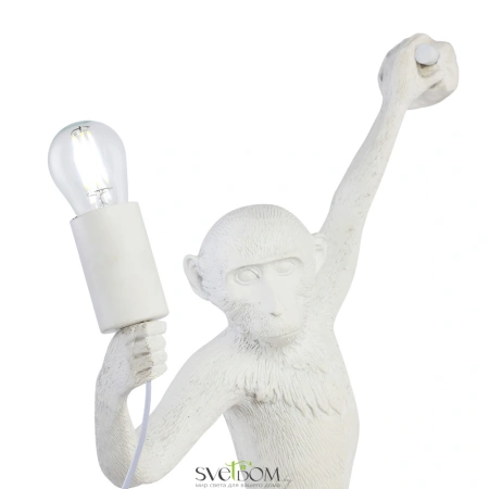 Бра Evoluce Тенато SLE115111-01 EVOLUCE