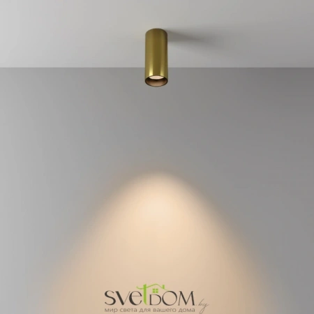 Потолочные светильники Maytoni C056CL-L12W3K-W-BS от Магазина Svetdom.by