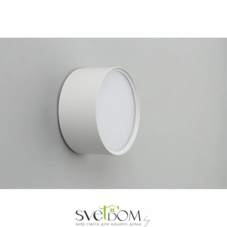 Накладные светильники Omnilux OML-100909-12 от Магазина Svetdom.by