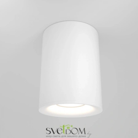 Потолочные светильники Maytoni C012CL-01W от Магазина Svetdom.by