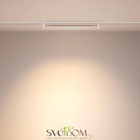 TR010-1-20W3K-M-W Maytoni