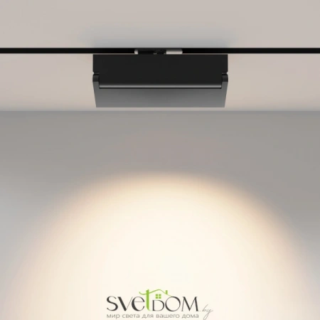 TR223-1-12WCCT-W-B Maytoni