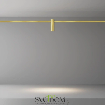 TR143-1-5W3K-W-BS Maytoni