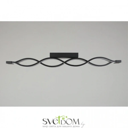 Настенно-потолочные светильники Aployt APL.002.17.72 от Магазина Svetdom.by