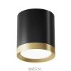 Потолочный светильник Technical C086CM-GX53-MRD-BG Maytoni