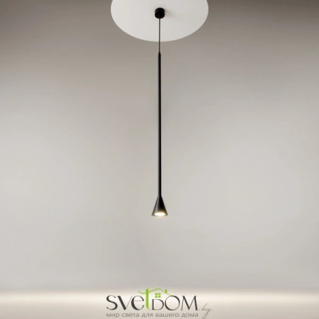 Подвесные светильники Maytoni P064PL-01B-1 от Магазина Svetdom.by