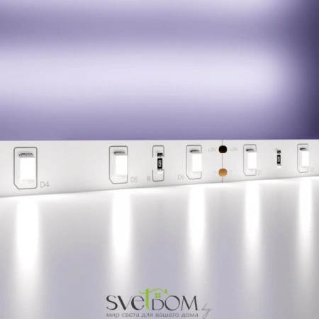 Светодиодная лента 24В 2835 4,8Вт/м 6000K 5м IP20 10138