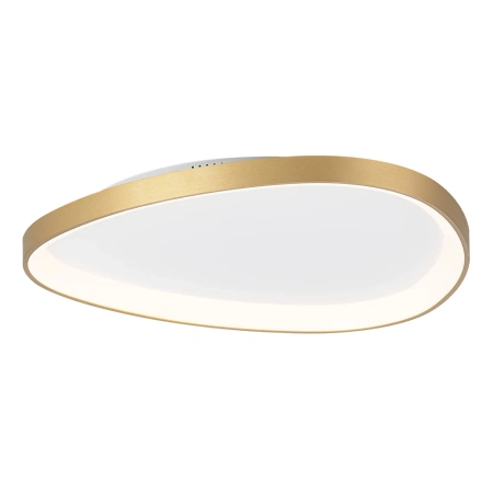 Потолочная люстра Citilux GENKA SMART CL756A162 CITILUX