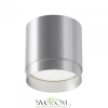 Потолочный светильник Technical C088CL-GX53-S Maytoni