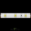 Светодиодная лента 12В 2835 4,8Вт/м 3000K 5м IP65 10105