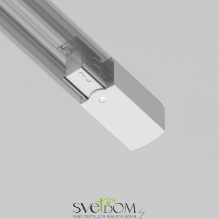 TRA005B-31W-L Maytoni