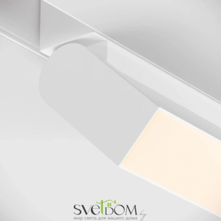 TR013-2-10W3K-W Maytoni