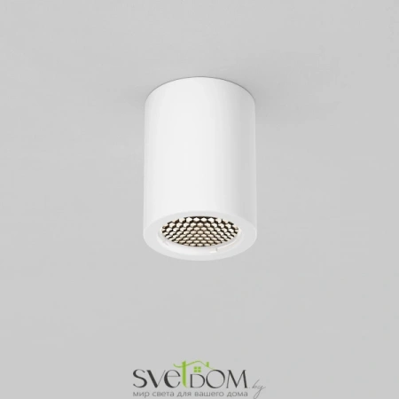 Потолочные светильники Maytoni C001CL-GU10-W от Магазина Svetdom.by