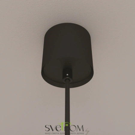 Подвесные светильники Maytoni P039PL-5W3K-10-B от Магазина Svetdom.by