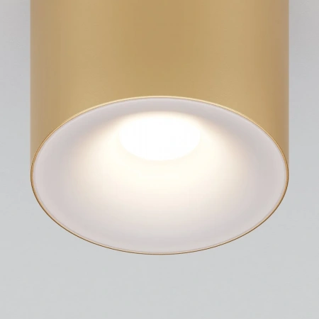 Потолочные светильники Maytoni C094-GU10-MG от Магазина Svetdom.by