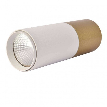 Потолочные светильники Favourite 3073-1C от Магазина Svetdom.by