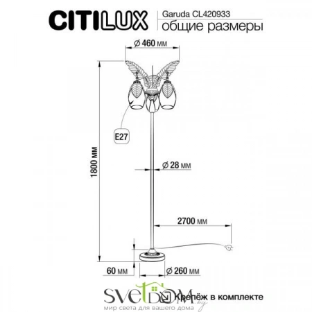 CL420933 CITILUX