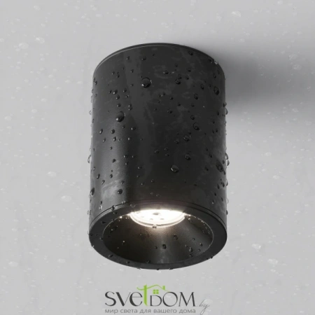 Потолочные светильники Maytoni C029CL-01B от Магазина Svetdom.by