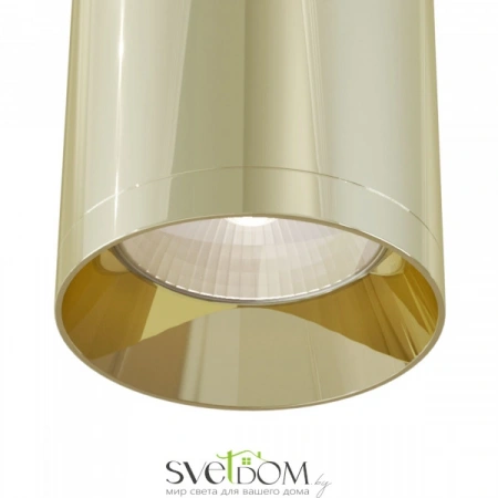 Потолочные светильники Maytoni C010CL-01G от Магазина Svetdom.by