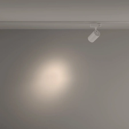 TR029-3-10W4K-S-W Maytoni