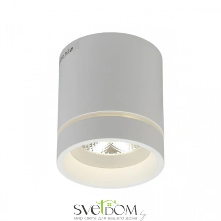 Накладные светильники Aployt APL.0044.09.05 от Магазина Svetdom.by
