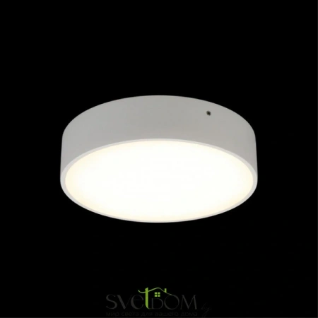 Настенно-потолочные светильники Aployt APL.0113.09.18 от Магазина Svetdom.by