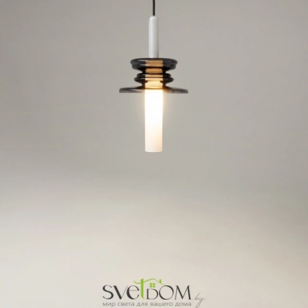 Подвесные светильники Maytoni MOD255PL-01B1 от Магазина Svetdom.by