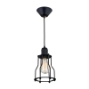 Подвесной светильник Citilux Эдисон CL450201 CITILUX