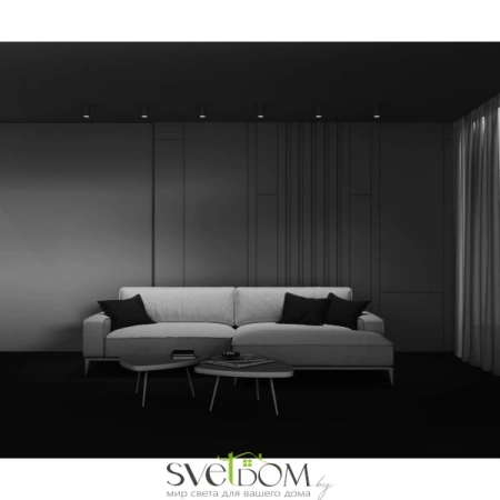 Потолочные светильники Maytoni C003CW-01W-1 от Магазина Svetdom.by