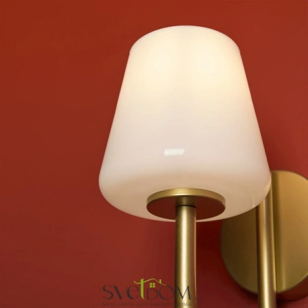 Настенные светильники FR2039WL-01G Freya | Svetdom.by