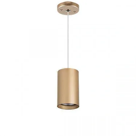 RP4401 Lightstar