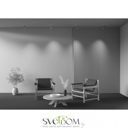 Встраиваемые светильники Maytoni C140RS-L200-7W3K-BBS от Магазина Svetdom.by