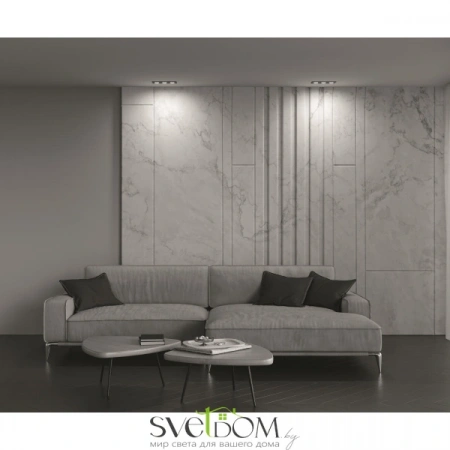 Встраиваемые светильники Maytoni DL024-2-03B от Магазина Svetdom.by