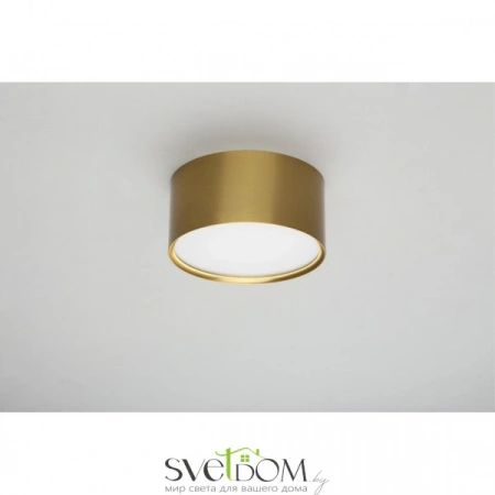Накладные светильники Omnilux OML-100929-12 от Магазина Svetdom.by