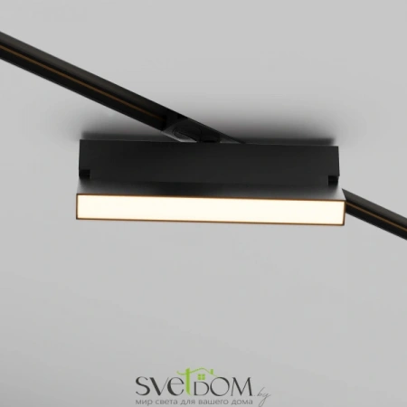 TR223-1-12WCCT-W-B Maytoni