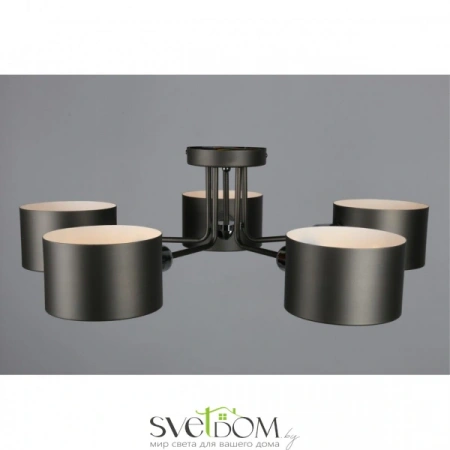 Люстры потолочныеOML-54507-05 Omnilux | Svetdom.by