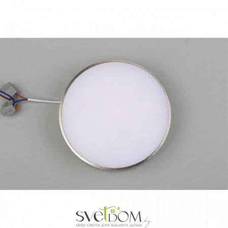 Настенно-потолочные светильники Aployt APL.0114.19.18 от Магазина Svetdom.by