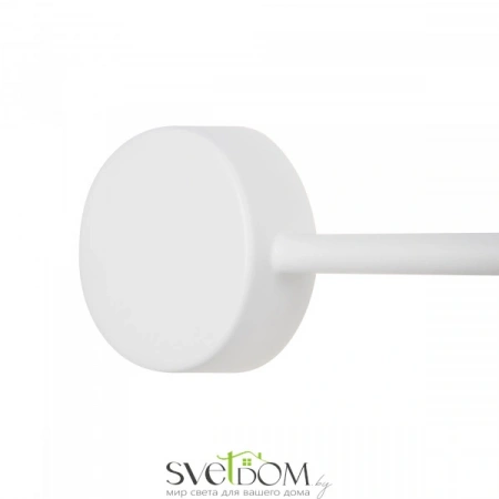 Настенные светильники FR5363WL-02W1 Freya | Svetdom.by