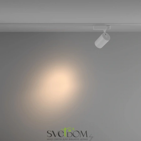 TR029-3-20W3K-S-W Maytoni