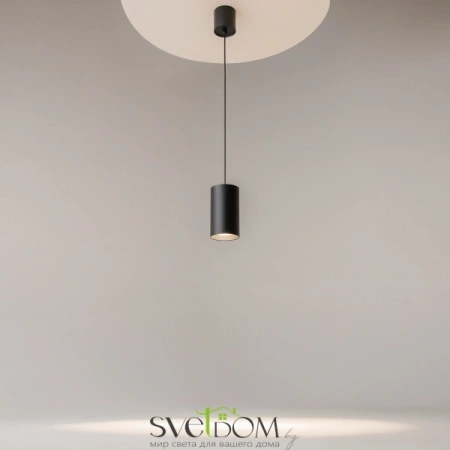 Подвесные светильники Maytoni P100PL-20W4K-B от Магазина Svetdom.by